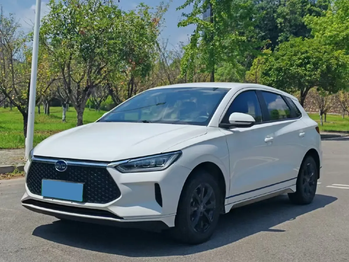 2019 BYD e2 BEV 35.2KWH,autocango,china used car exporter,china ev exporter,chinese used car exporter,chinese used ev exporter
