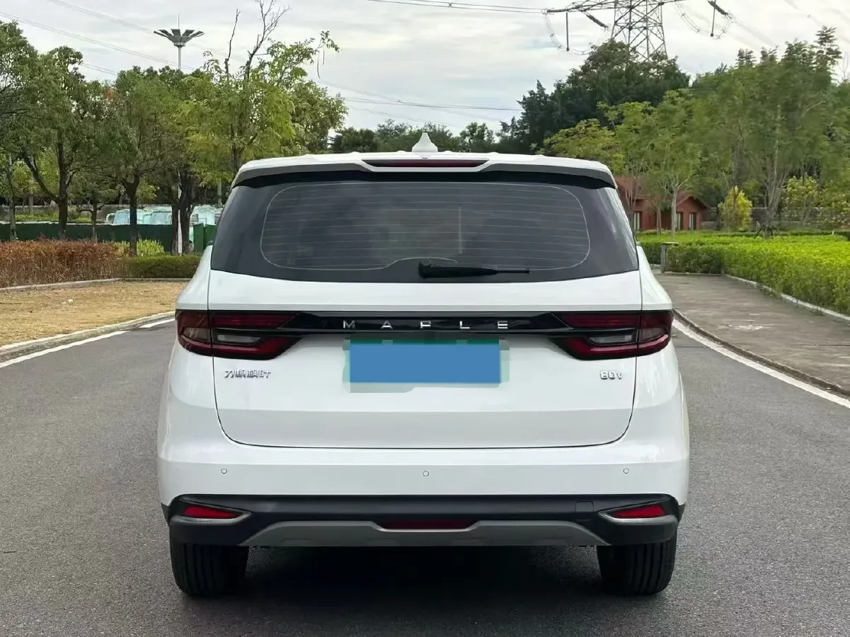 2021 Livan Maple 80v BEV 53KWH,autocango,china used car exporter,china ev exporter,chinese used car exporter,chinese used ev exporter