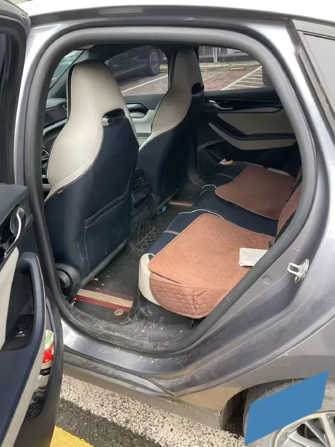 2021 DongFeng FuKang e Elysee BEV 38.4KWH,autocango,china used car exporter,china ev exporter,chinese used car exporter,chinese used ev exporter