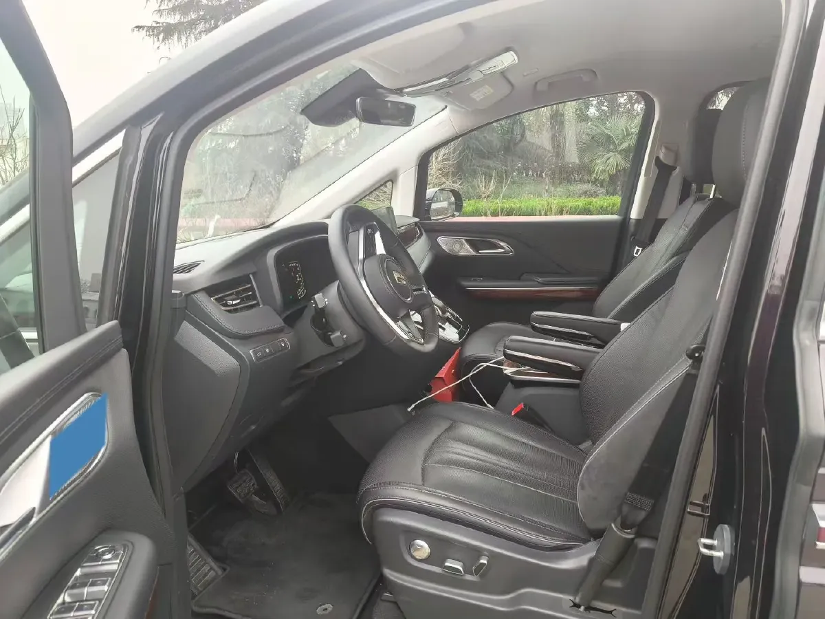 2024 HongQi HQ9 2.0T 163HP L4 1DHT PHEV 20.14KWH,autocango,china used car exporter,china ev exporter,chinese used car exporter,chinese used ev exporter