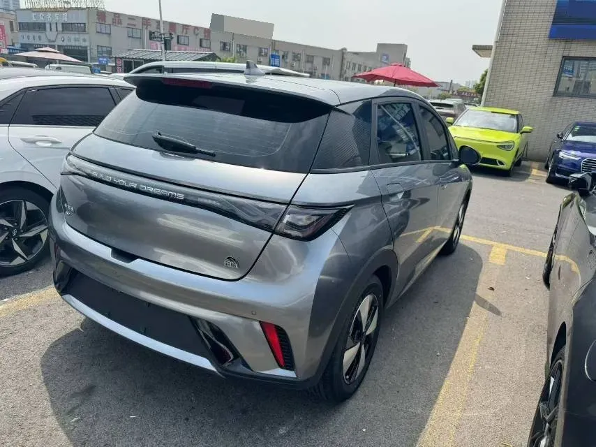 2023 BYD Dolphin BEV 44.928KWH,autocango,china used car exporter,china ev exporter,chinese used car exporter,chinese used ev exporter