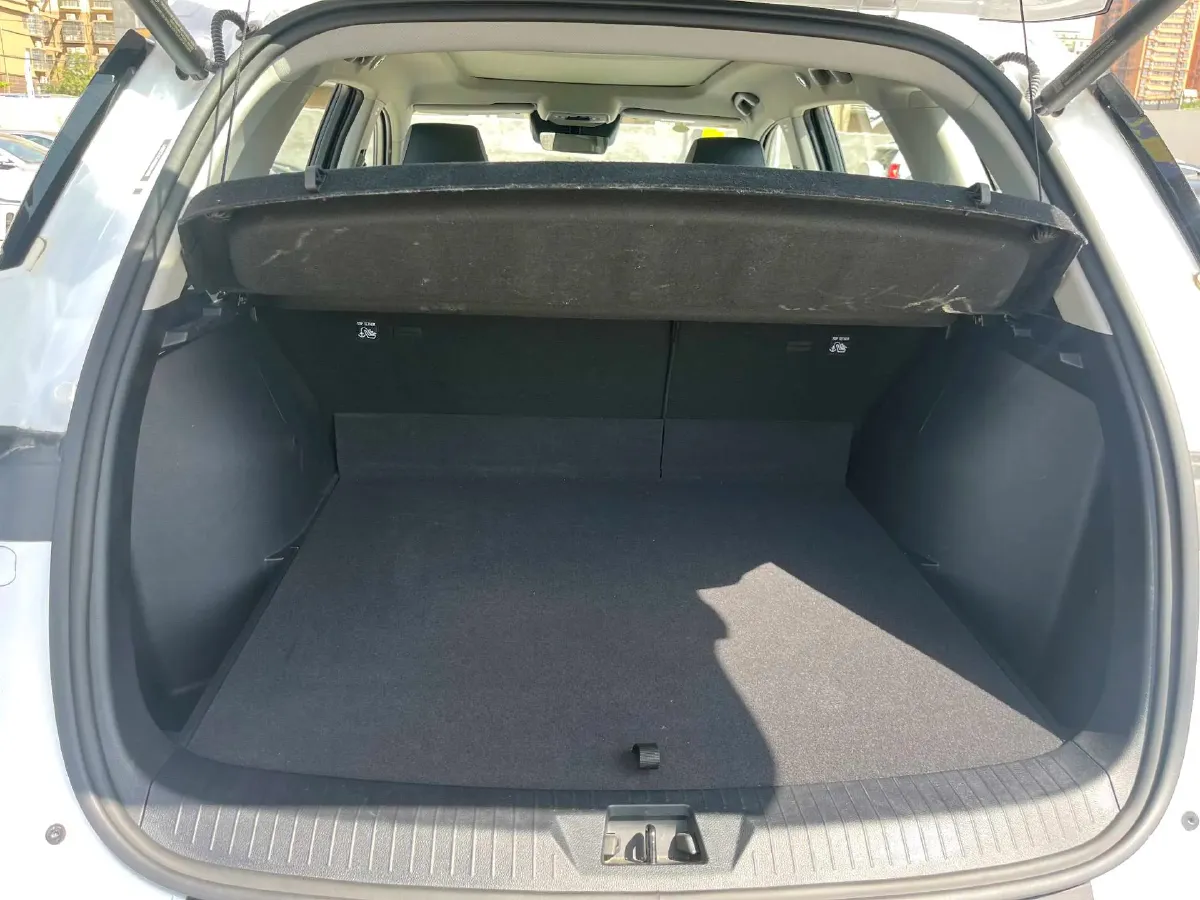 2025 BYD Sea Lion 05 DM-i 1.5L 101HP L4 E-CVT PHEV 12.9KWH,autocango,china used car exporter,china ev exporter,chinese used car exporter,chinese used ev exporter