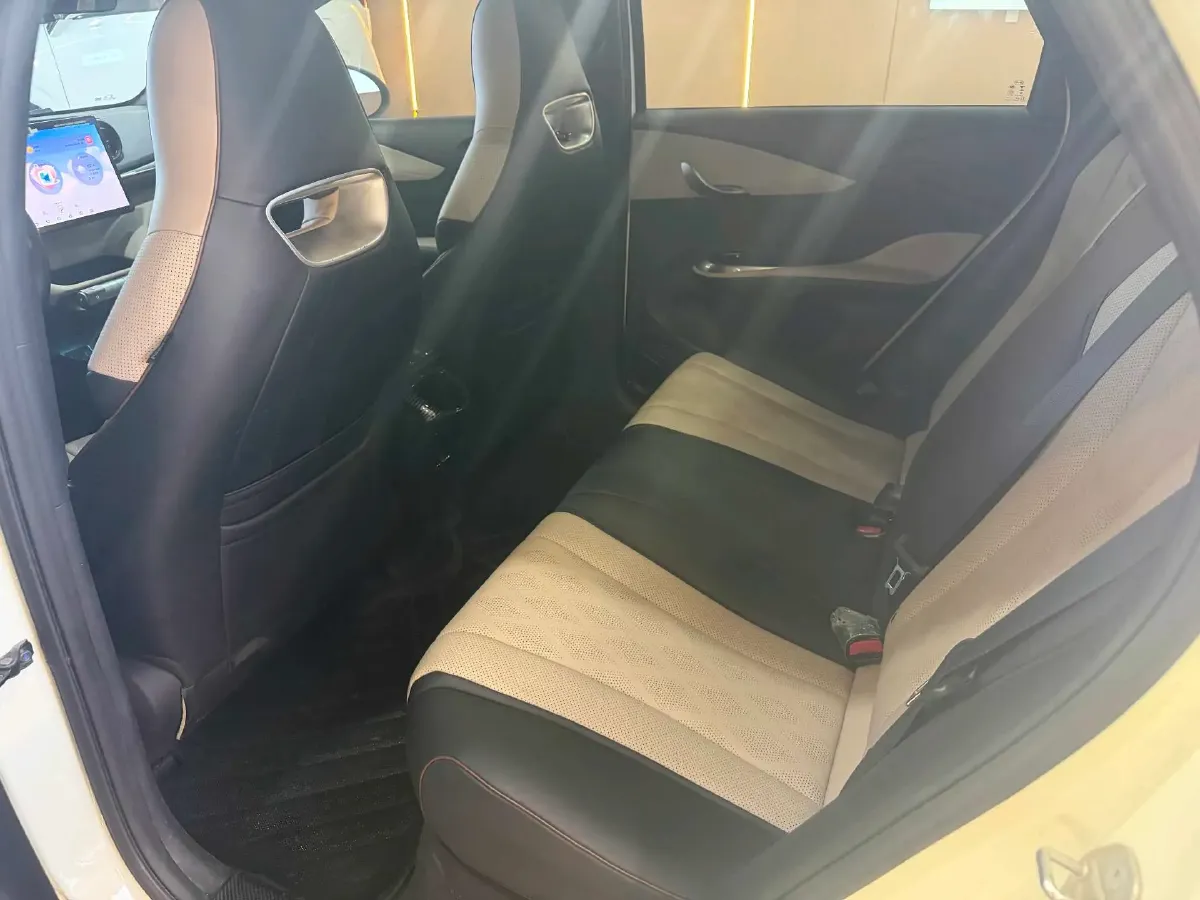 2023 BYD Dolphin BEV 44.928KWH,autocango,china used car exporter,china ev exporter,chinese used car exporter,chinese used ev exporter