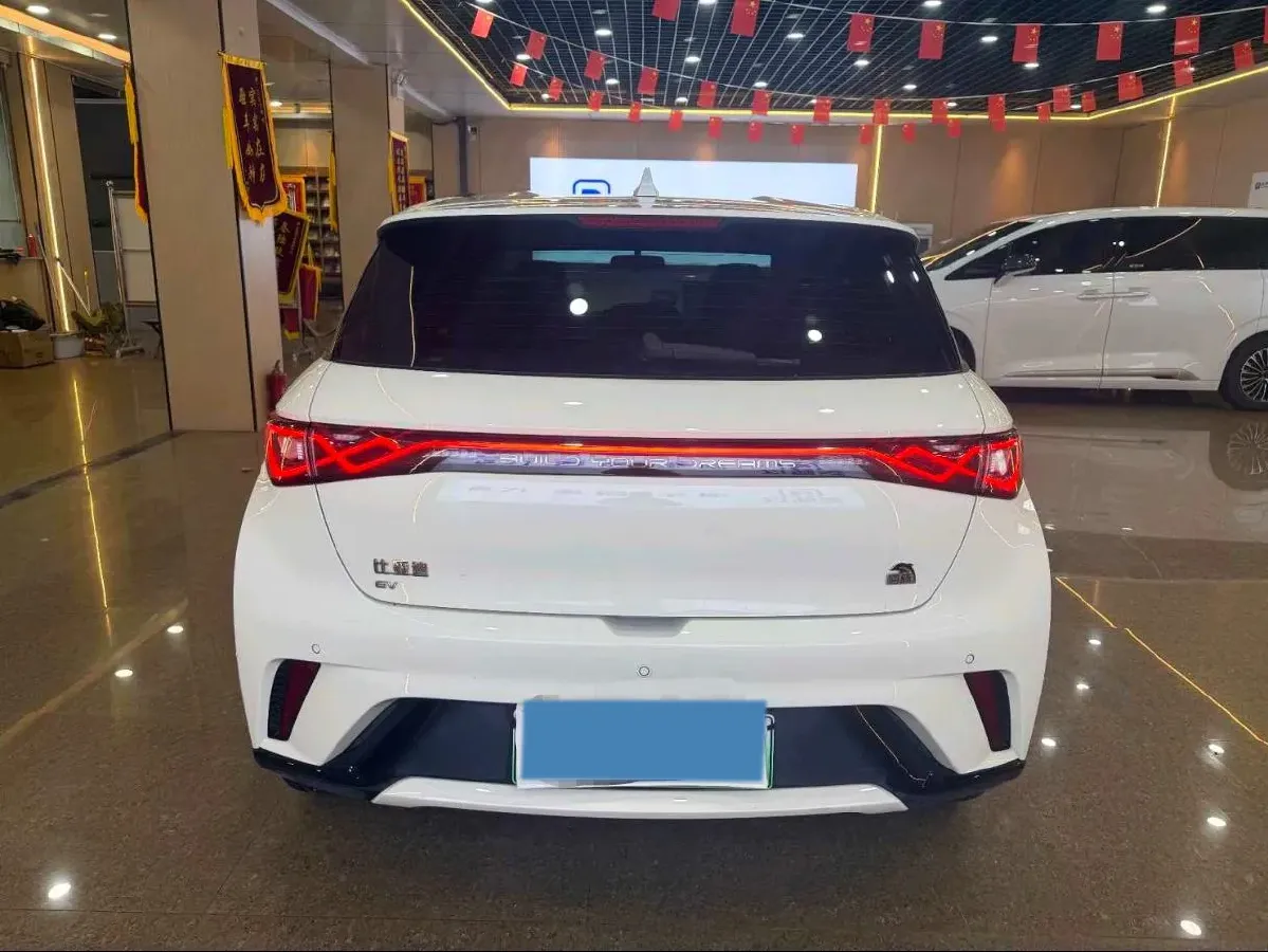 2023 BYD Dolphin BEV 44.928KWH,autocango,china used car exporter,china ev exporter,chinese used car exporter,chinese used ev exporter