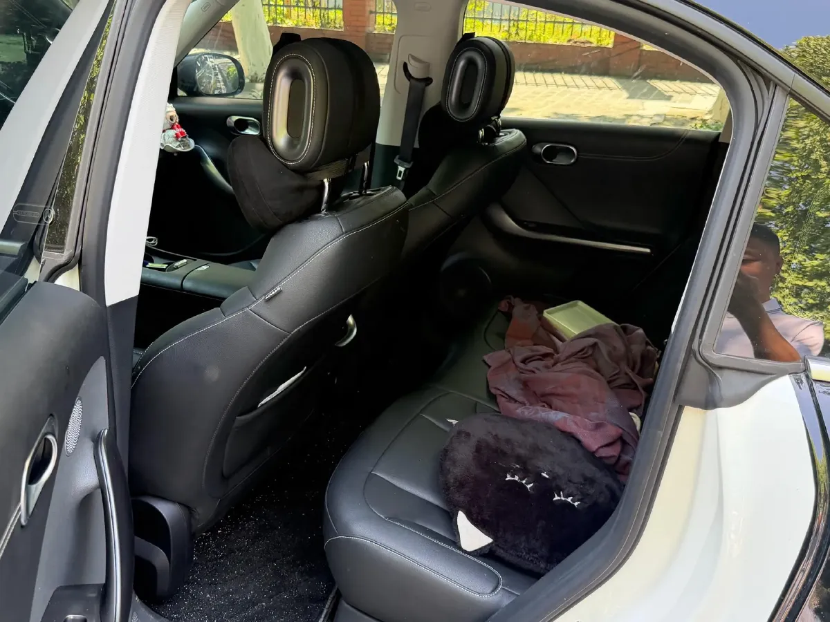 2023 Smart smart Elf 1 BEV 49KWH,autocango,china used car exporter,china ev exporter,chinese used car exporter,chinese used ev exporter