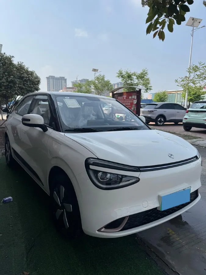 2026 DongFeng eπ 01 BEV,autocango,china used car exporter,china ev exporter,chinese used car exporter,chinese used ev exporter