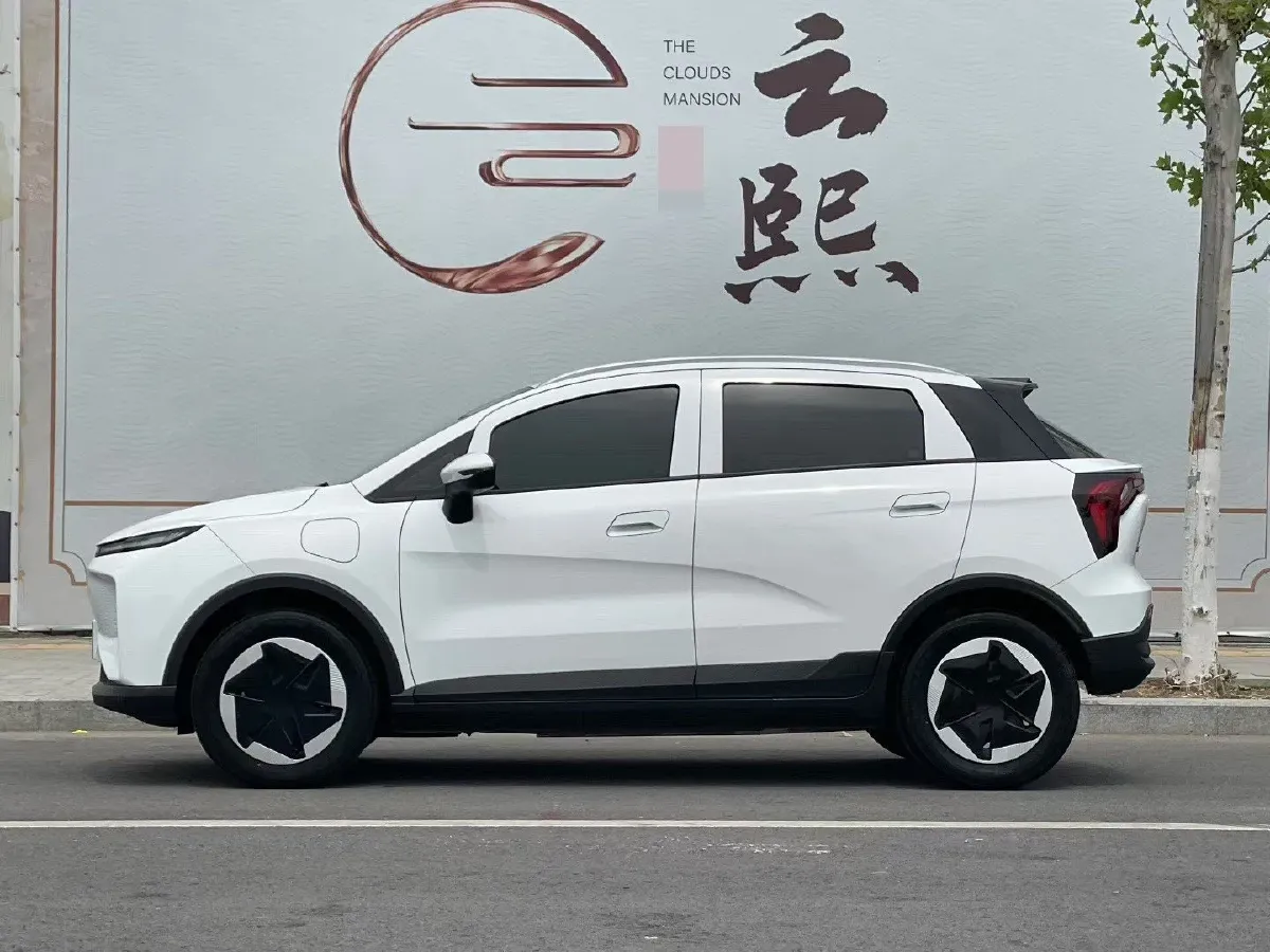 2024 Geometry E BEV 29.67KWH,autocango,china used car exporter,china ev exporter,chinese used car exporter,chinese used ev exporter