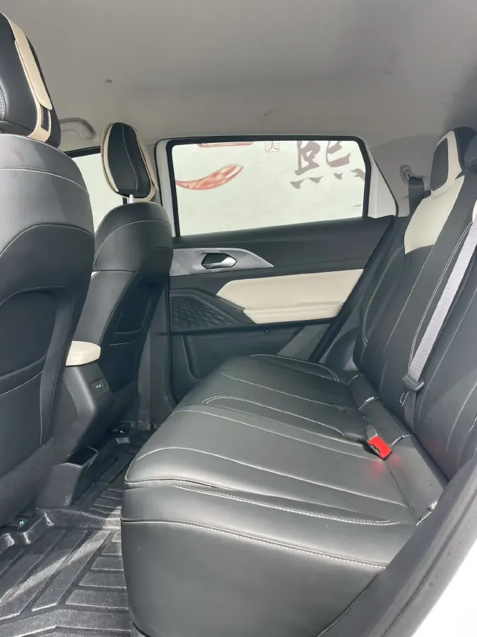 2024 Geometry E BEV 29.67KWH,autocango,china used car exporter,china ev exporter,chinese used car exporter,chinese used ev exporter