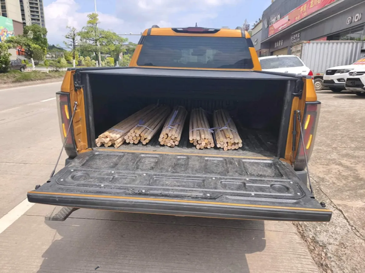 2025 Dongfeng Z9 2.3T 190HP L4 8AT,autocango,china used car exporter,china ev exporter,chinese used car exporter,chinese used ev exporter