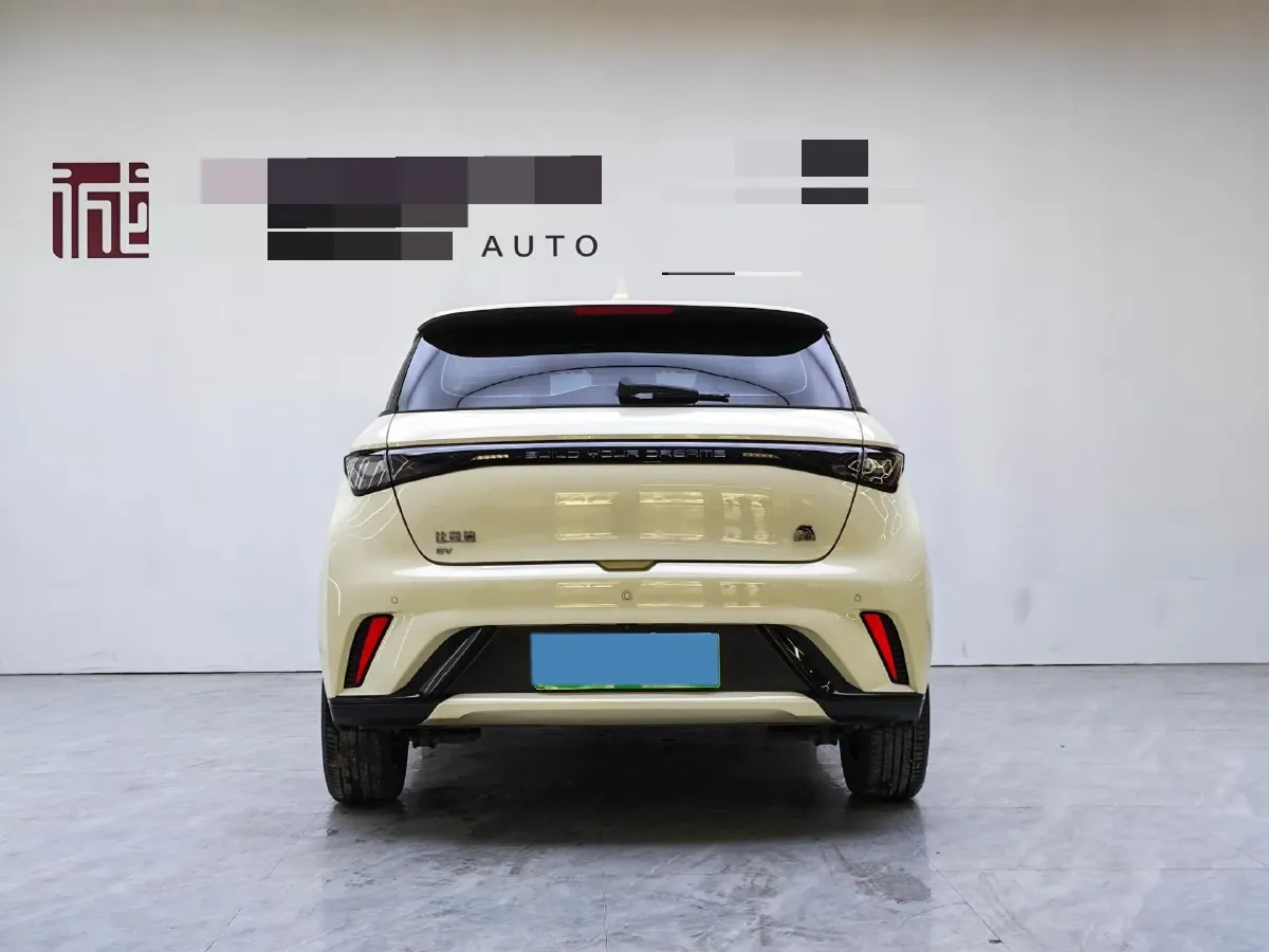 2023 BYD Dolphin BEV 44.928KWH,autocango,china used car exporter,china ev exporter,chinese used car exporter,chinese used ev exporter