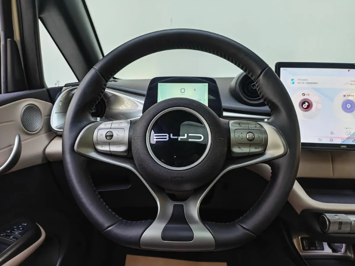 2023 BYD Dolphin BEV 44.928KWH,autocango,china used car exporter,china ev exporter,chinese used car exporter,chinese used ev exporter