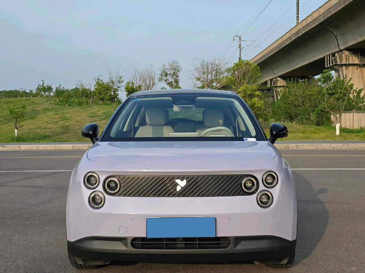 2025 Firefly Firefly BEV,autocango,china used car exporter,china ev exporter,chinese used car exporter,chinese used ev exporter