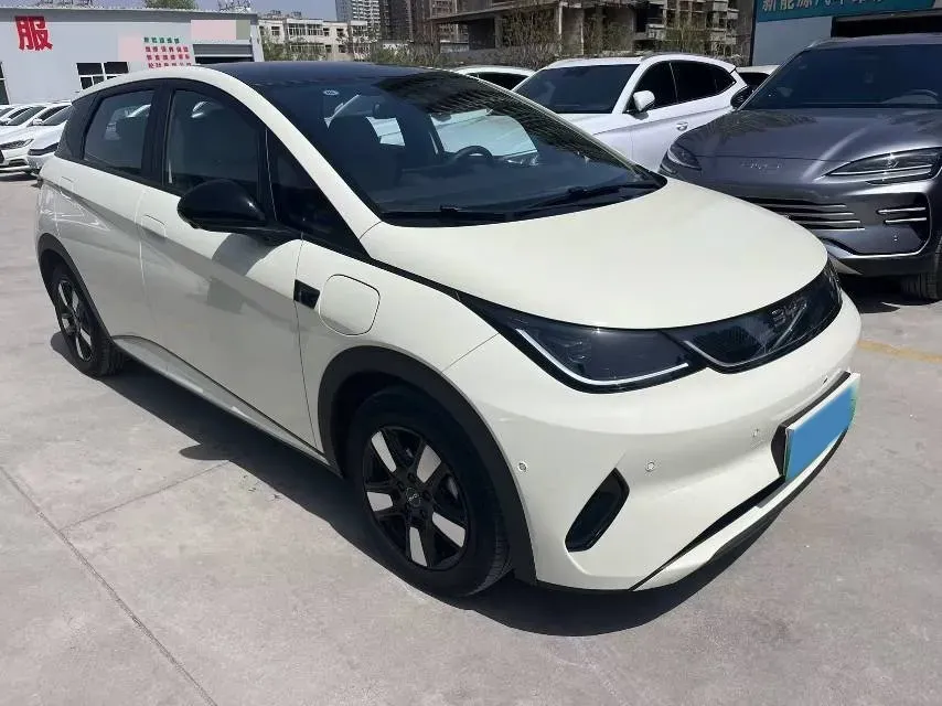 2024 BYD Dolphin BEV 44.928KWH,autocango,china used car exporter,china ev exporter,chinese used car exporter,chinese used ev exporter