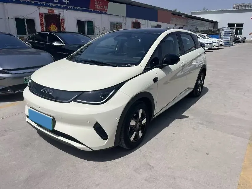 2024 BYD Dolphin BEV 44.928KWH,autocango,china used car exporter,china ev exporter,chinese used car exporter,chinese used ev exporter