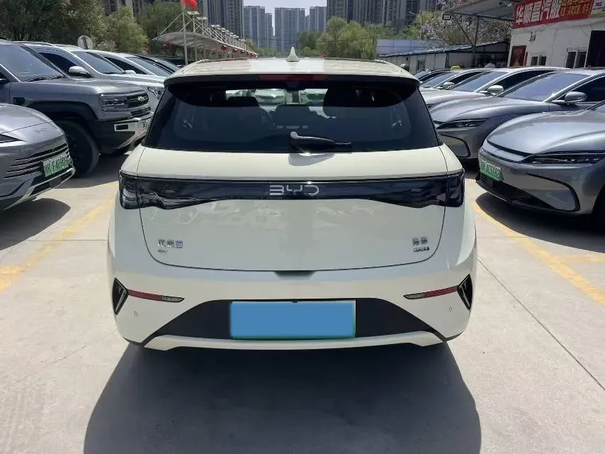 2024 BYD Dolphin BEV 44.928KWH,autocango,china used car exporter,china ev exporter,chinese used car exporter,chinese used ev exporter