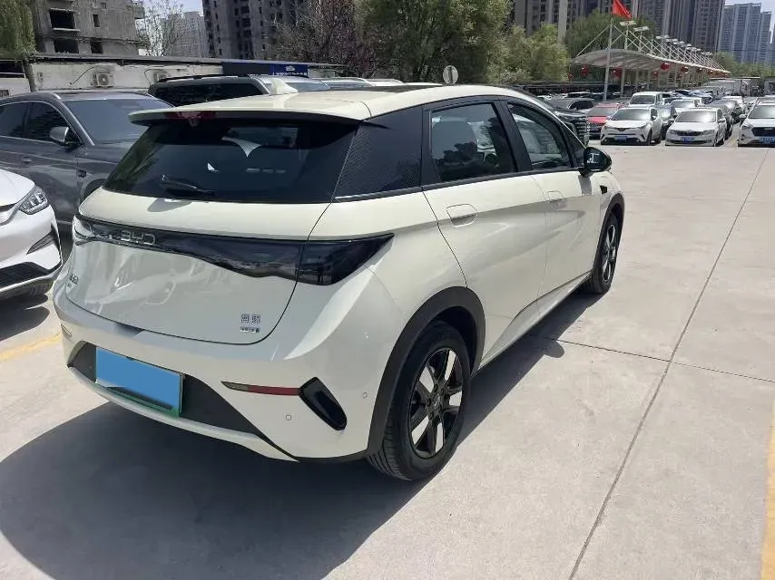 2024 BYD Dolphin BEV 44.928KWH,autocango,china used car exporter,china ev exporter,chinese used car exporter,chinese used ev exporter