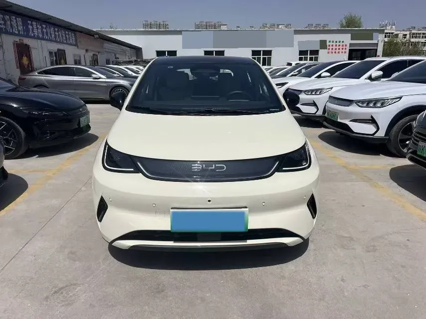 2024 BYD Dolphin BEV 44.928KWH,autocango,china used car exporter,china ev exporter,chinese used car exporter,chinese used ev exporter