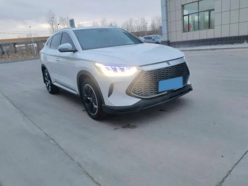 2021 BYD Qin BEV 53.56KWH,autocango,china used car exporter,china ev exporter,chinese used car exporter,chinese used ev exporter