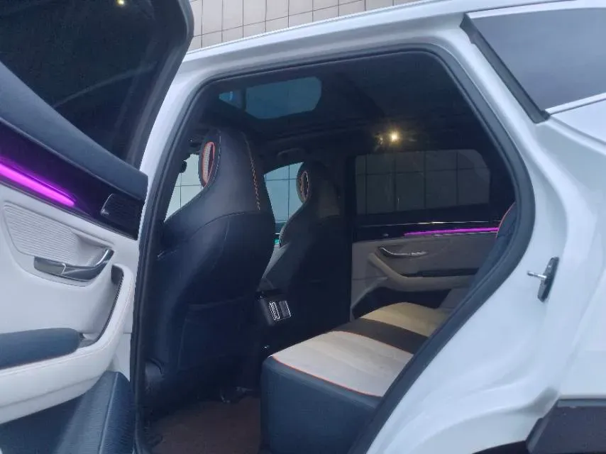 2021 BYD Qin BEV 53.56KWH,autocango,china used car exporter,china ev exporter,chinese used car exporter,chinese used ev exporter