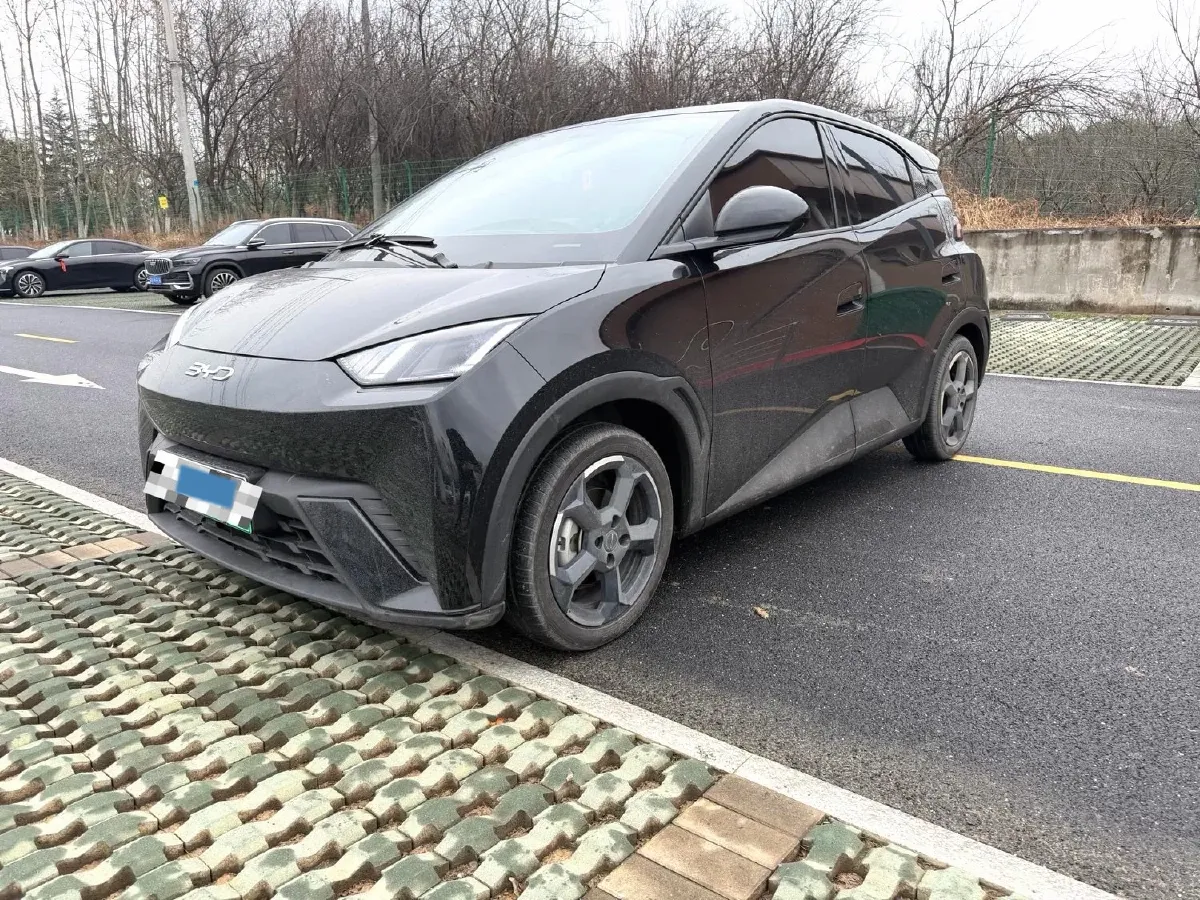 2023 BYD Seagull BEV 30.08KWH,autocango,china used car exporter,china ev exporter,chinese used car exporter,chinese used ev exporter