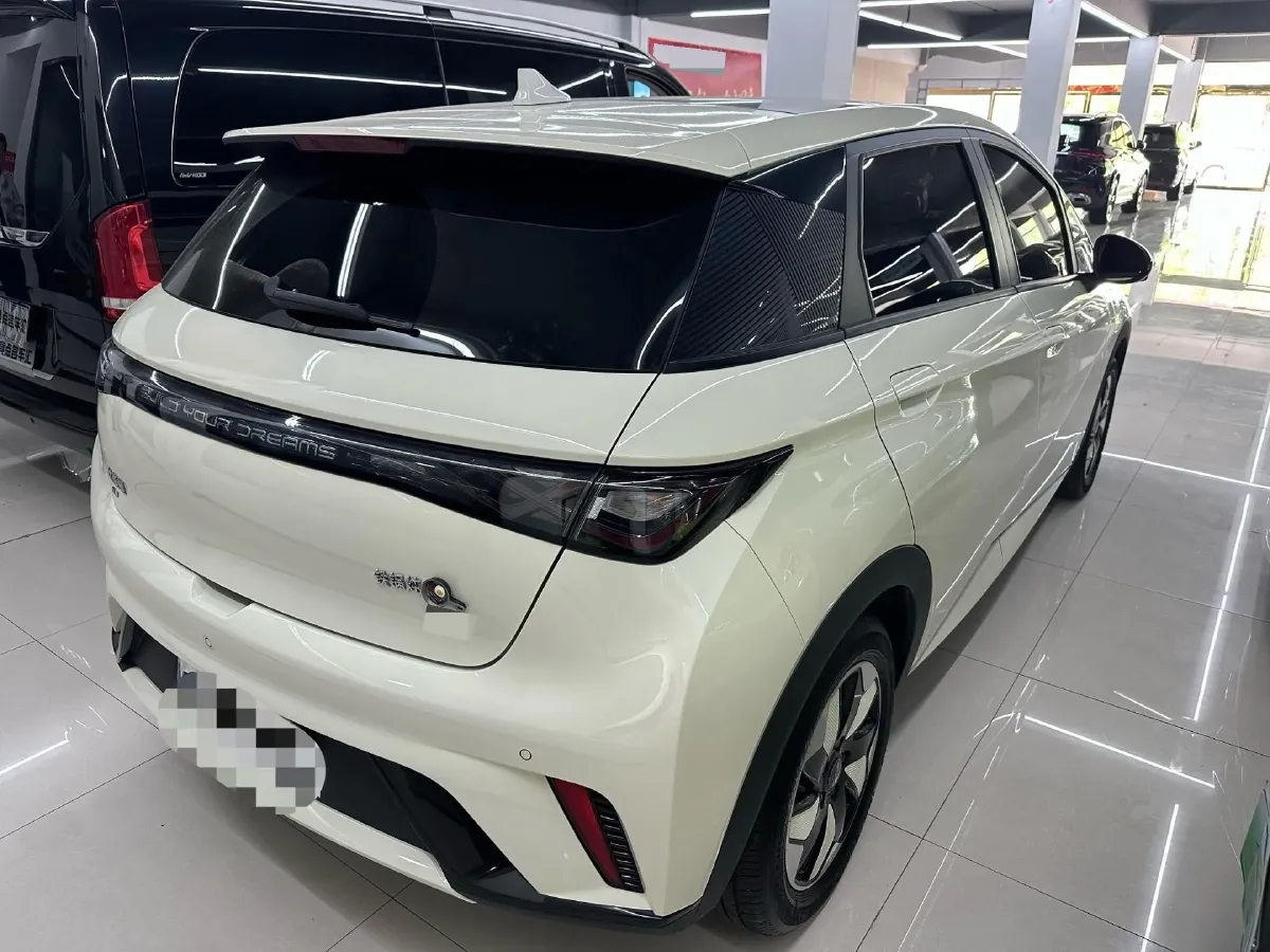 2024 BYD Dolphin BEV 44.928KWH,autocango,china used car exporter,china ev exporter,chinese used car exporter,chinese used ev exporter