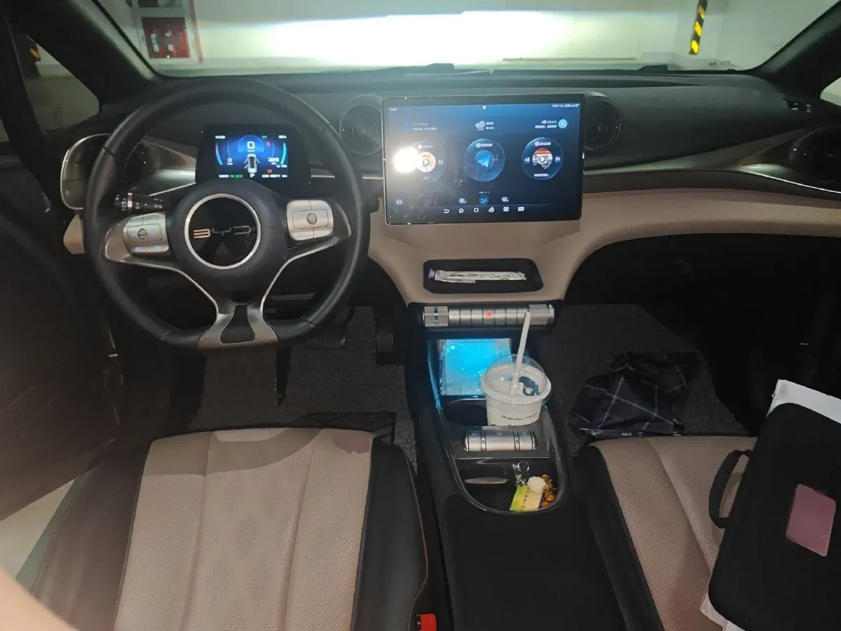 2023 BYD Dolphin BEV 44.928KWH,autocango,china used car exporter,china ev exporter,chinese used car exporter,chinese used ev exporter