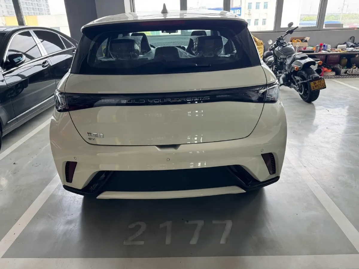 2025 BYD Dolphin BEV 44.928KWH,autocango,china used car exporter,china ev exporter,chinese used car exporter,chinese used ev exporter