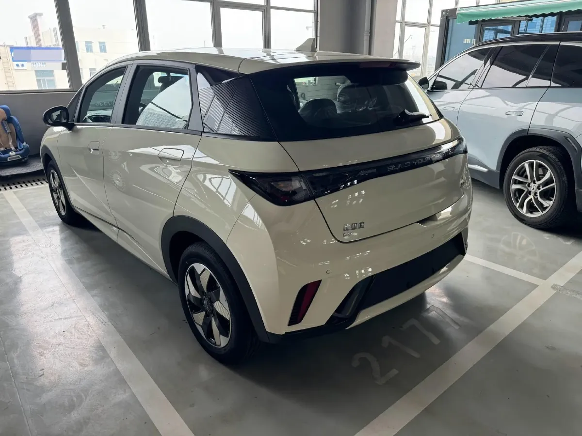 2025 BYD Dolphin BEV 44.928KWH,autocango,china used car exporter,china ev exporter,chinese used car exporter,chinese used ev exporter