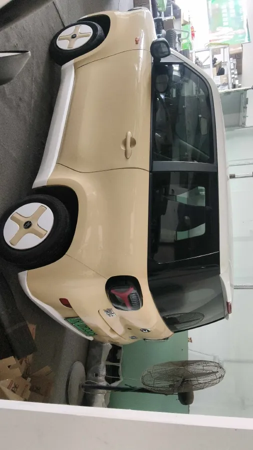 2024 ZD Rainbow BEV 17.3KWH,autocango,china used car exporter,china ev exporter,chinese used car exporter,chinese used ev exporter