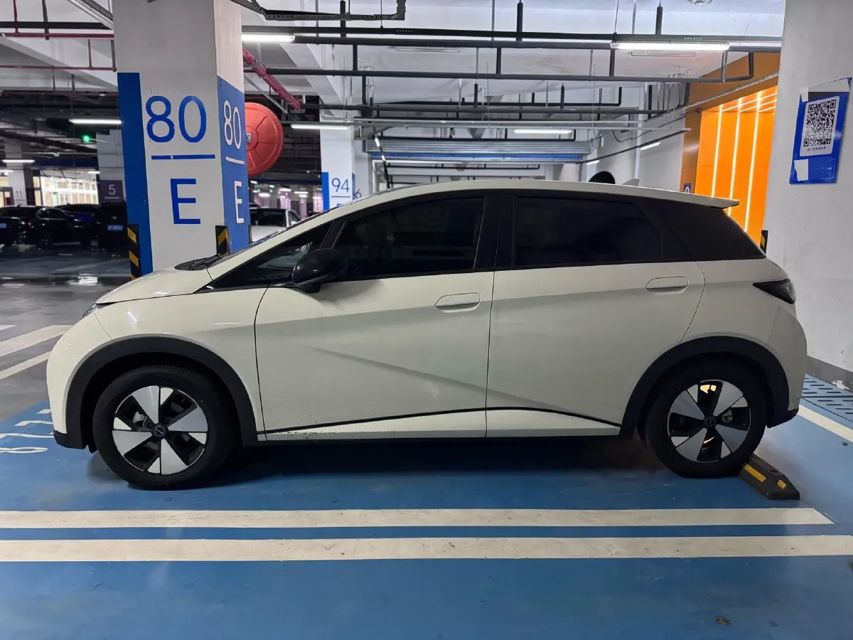 2023 BYD Dolphin BEV 44.928KWH,autocango,china used car exporter,china ev exporter,chinese used car exporter,chinese used ev exporter