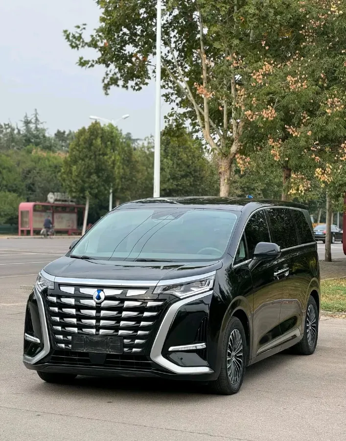 2024 Denza D9 1.5T 139HP L4 E-CVT PHEV 40KWH,autocango,china used car exporter,china ev exporter,chinese used car exporter,chinese used ev exporter