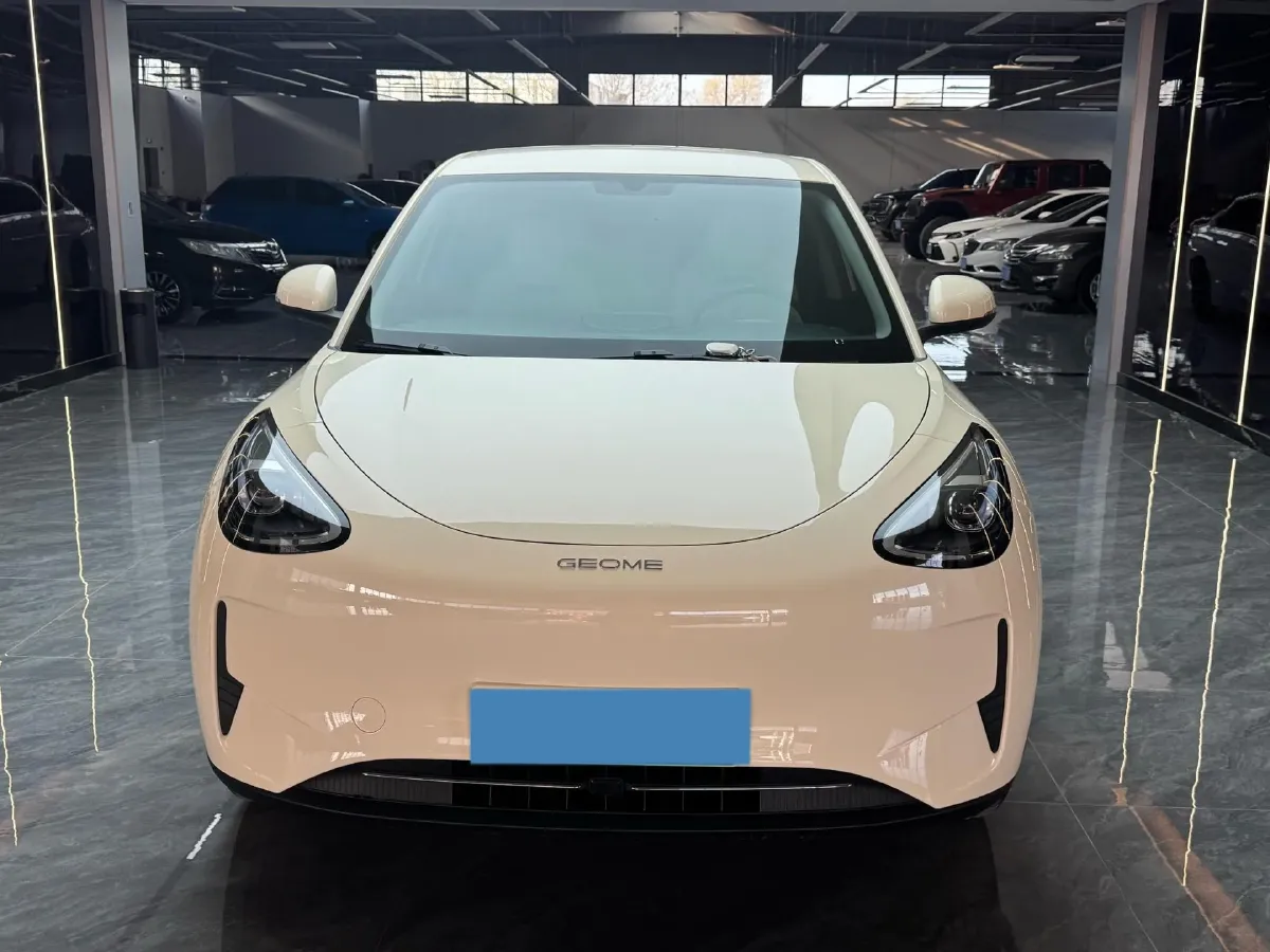 2024 WuLing HongGuang New Energy BEV 32.6KWH,autocango,china used car exporter,china ev exporter,chinese used car exporter,chinese used ev exporter