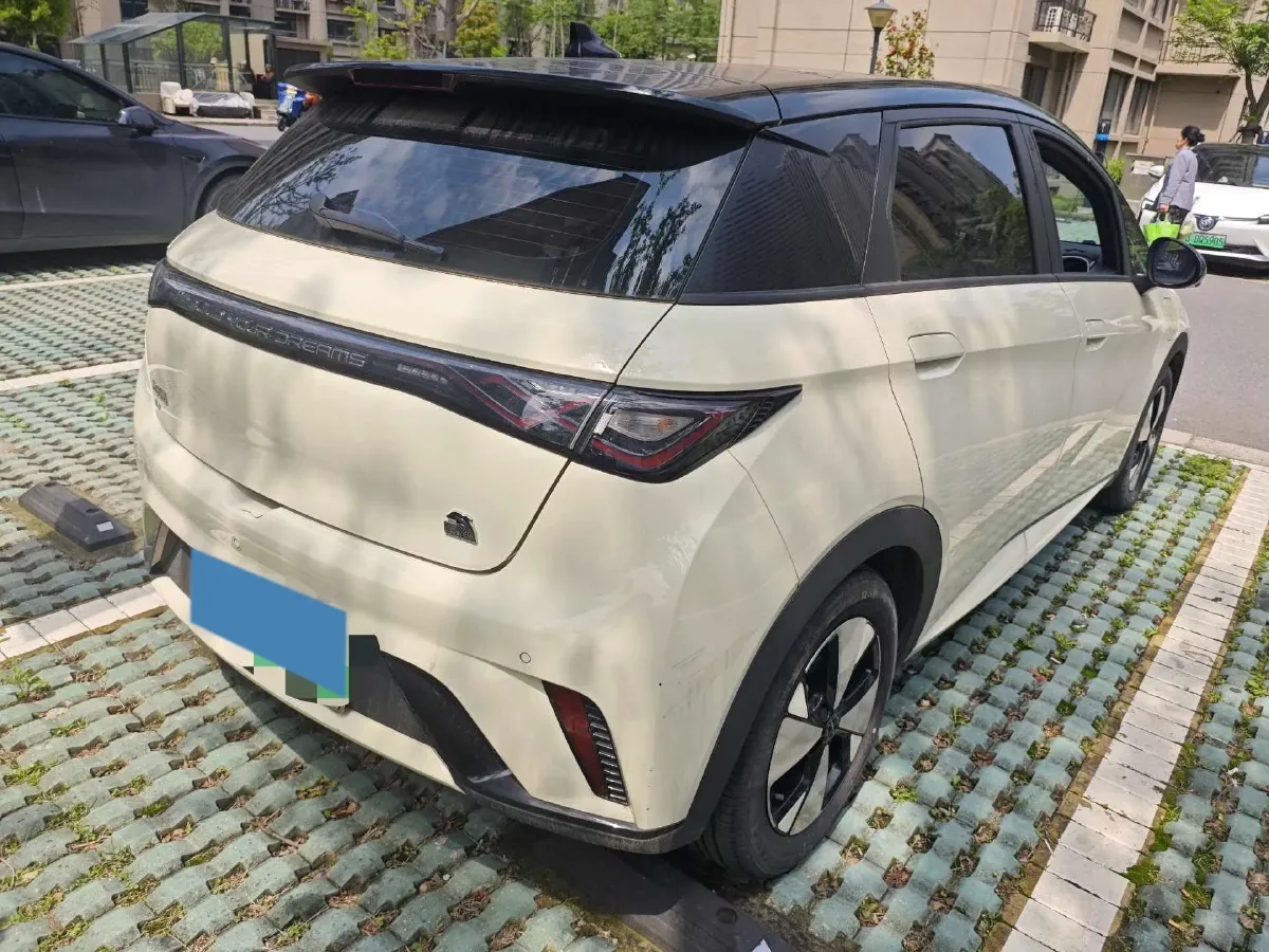 2023 BYD Dolphin BEV 44.928KWH,autocango,china used car exporter,china ev exporter,chinese used car exporter,chinese used ev exporter