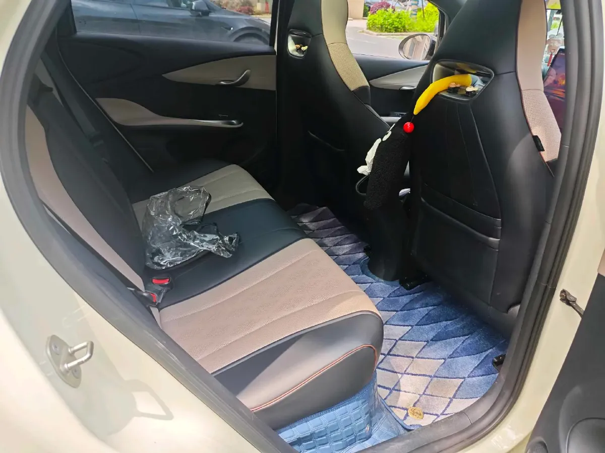 2023 BYD Dolphin BEV 44.928KWH,autocango,china used car exporter,china ev exporter,chinese used car exporter,chinese used ev exporter