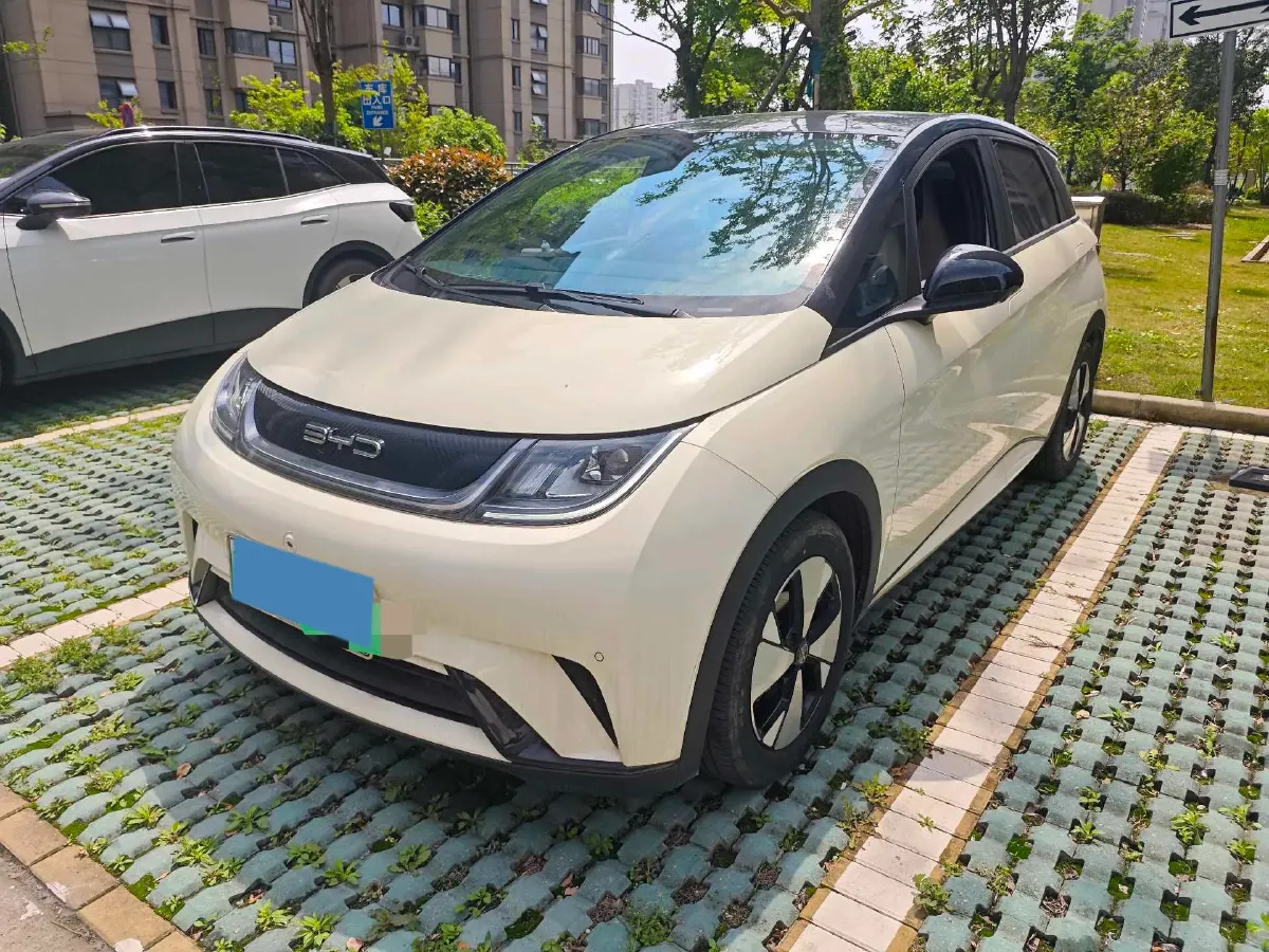 2023 BYD Dolphin BEV 44.928KWH,autocango,china used car exporter,china ev exporter,chinese used car exporter,chinese used ev exporter