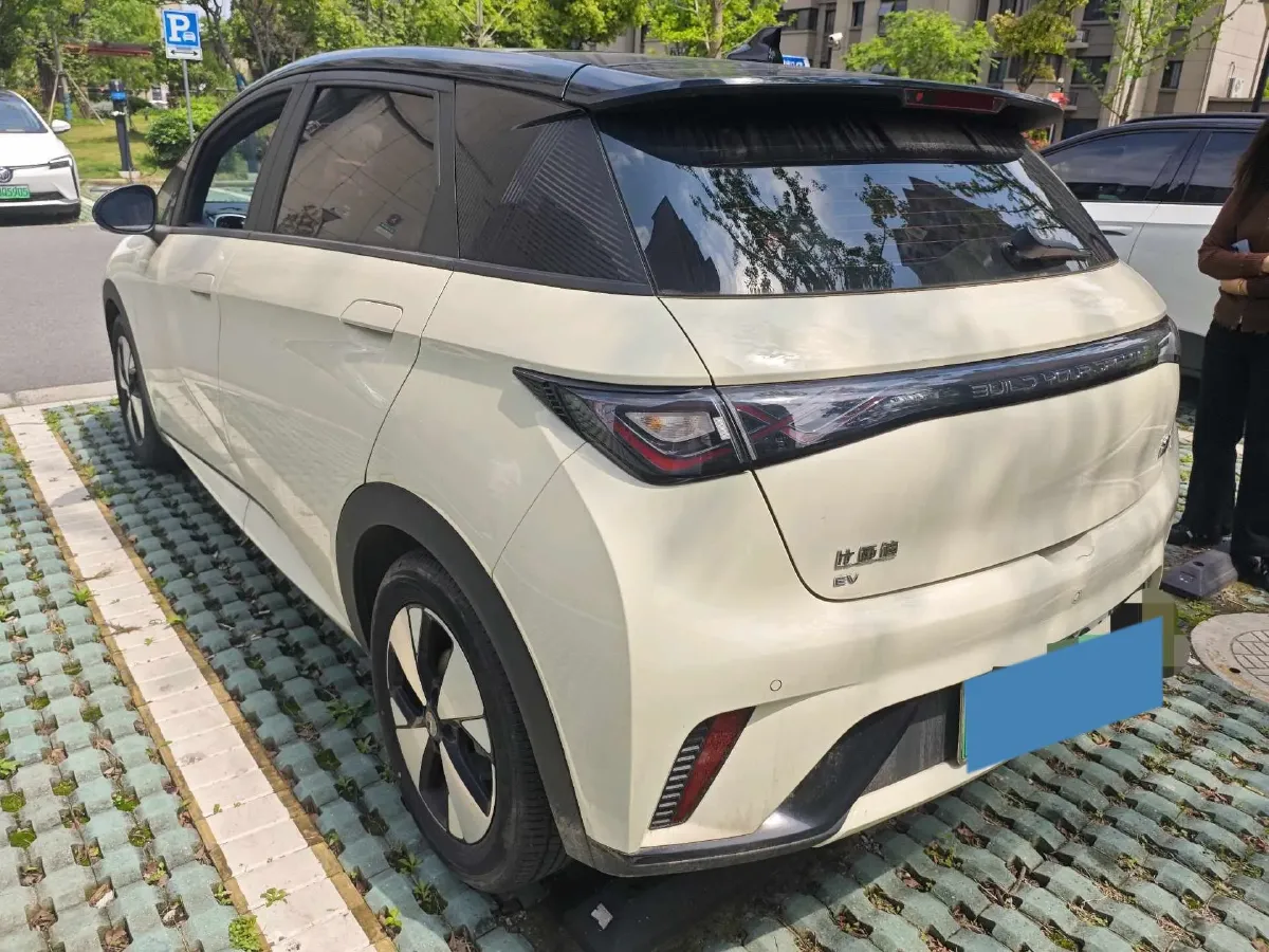 2023 BYD Dolphin BEV 44.928KWH,autocango,china used car exporter,china ev exporter,chinese used car exporter,chinese used ev exporter