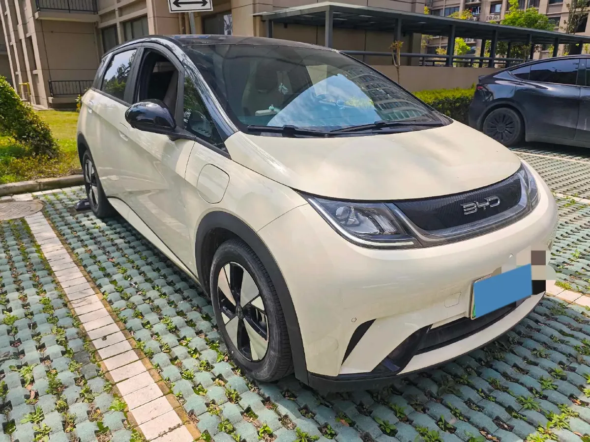 2023 BYD Dolphin BEV 44.928KWH,autocango,china used car exporter,china ev exporter,chinese used car exporter,chinese used ev exporter