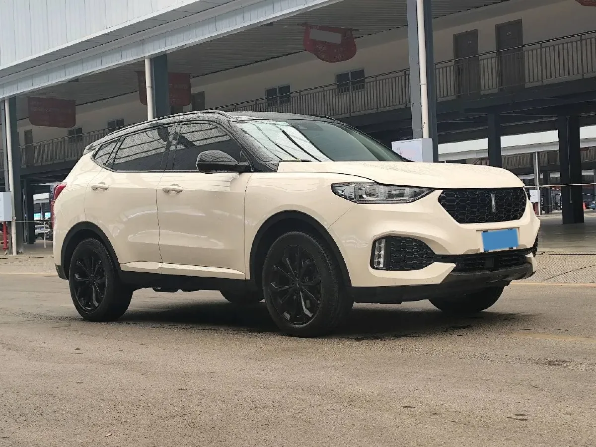 2018 WEY VV6 2.0T 197HP L4 7DCT,autocango,china used car exporter,china ev exporter,chinese used car exporter,chinese used ev exporter