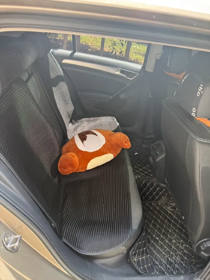 2019 Volkswagen Golf 1.4T 150HP L4 7DCT,autocango,china used car exporter,china ev exporter,chinese used car exporter,chinese used ev exporter