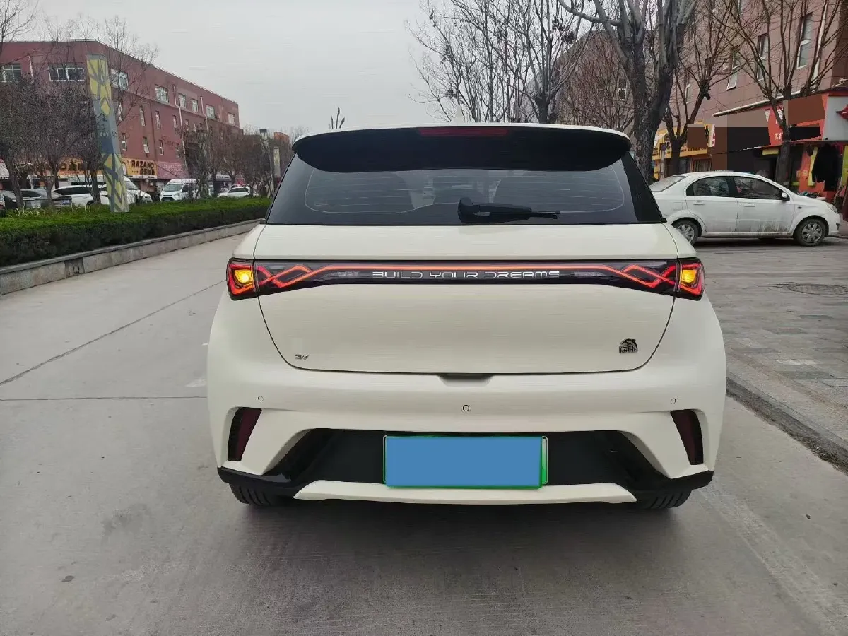 2023 BYD Dolphin BEV 44.928KWH,autocango,china used car exporter,china ev exporter,chinese used car exporter,chinese used ev exporter