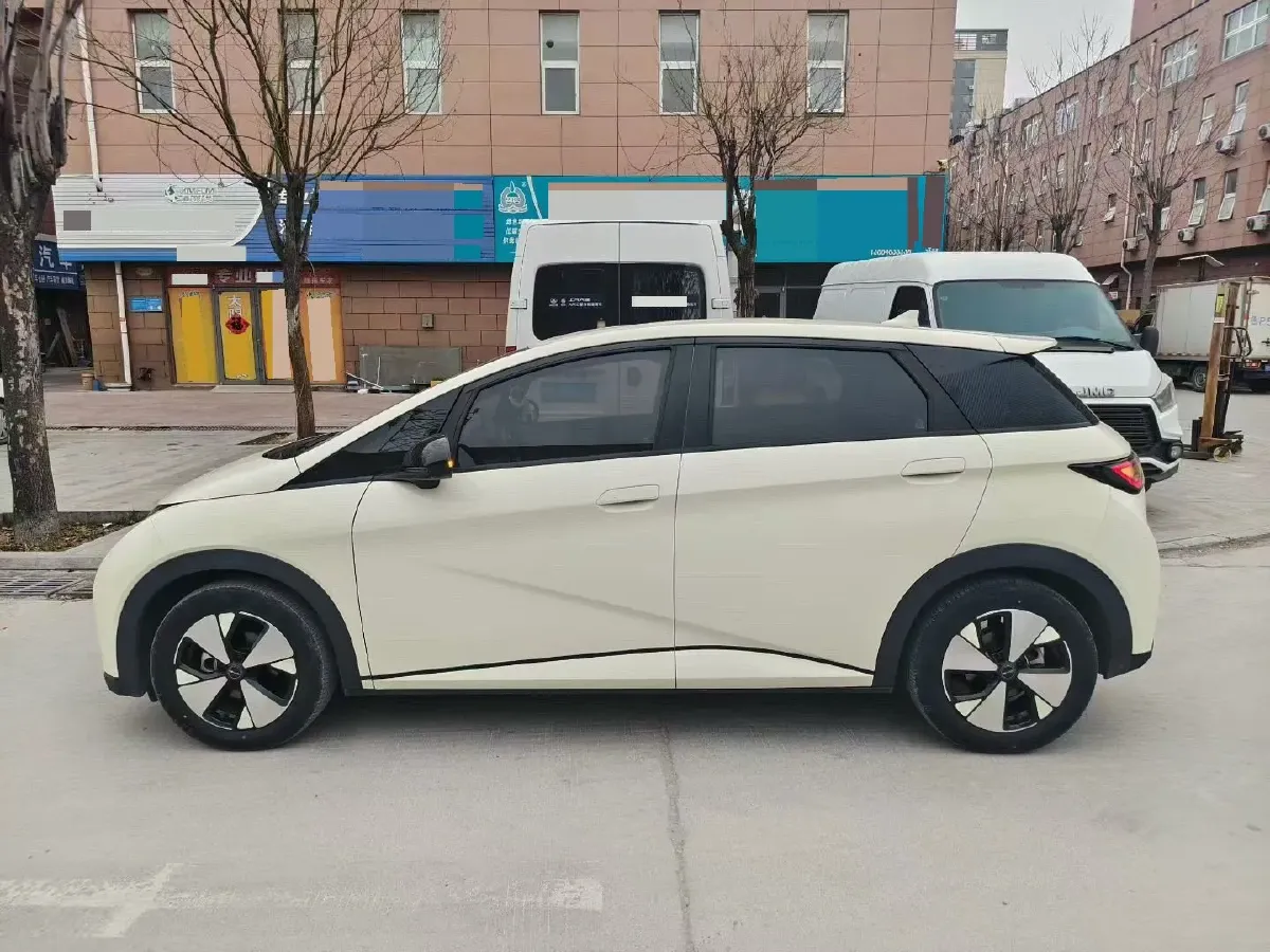 2023 BYD Dolphin BEV 44.928KWH,autocango,china used car exporter,china ev exporter,chinese used car exporter,chinese used ev exporter