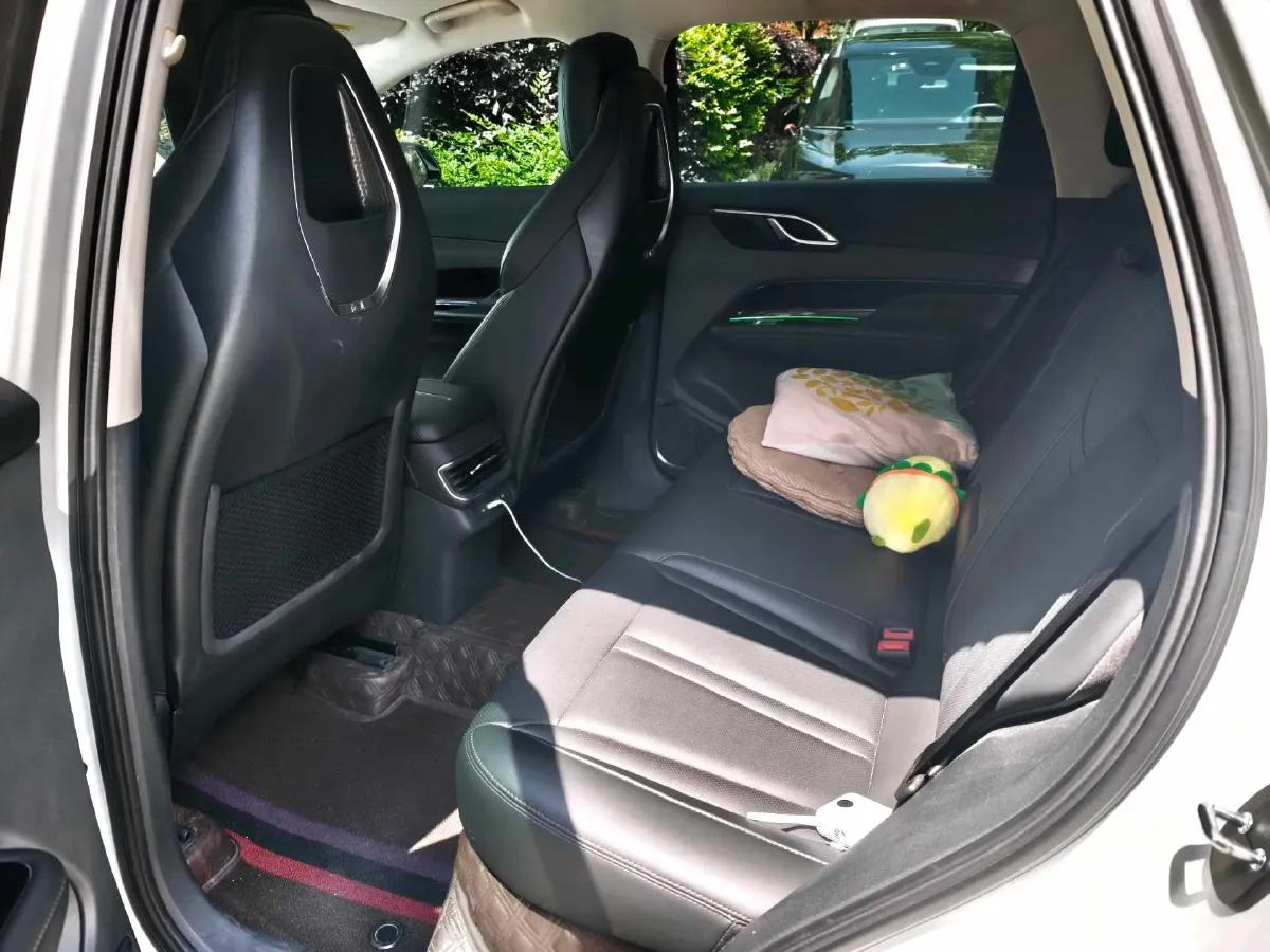 2024 HongQi HS3 1.5T 169HP L4 1DHT PHEV 18.4KWH,autocango,china used car exporter,china ev exporter,chinese used car exporter,chinese used ev exporter