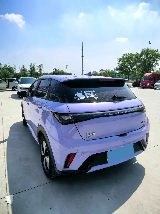 2023 BYD Dolphin BEV 44.928KWH,autocango,china used car exporter,china ev exporter,chinese used car exporter,chinese used ev exporter