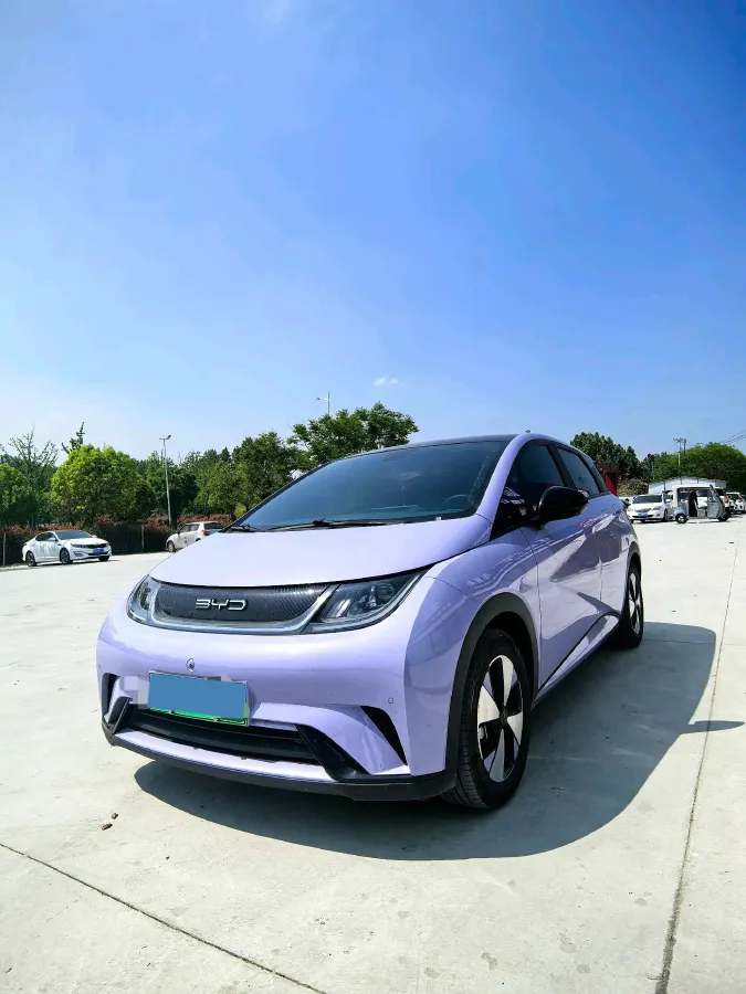 2023 BYD Dolphin BEV 44.928KWH,autocango,china used car exporter,china ev exporter,chinese used car exporter,chinese used ev exporter
