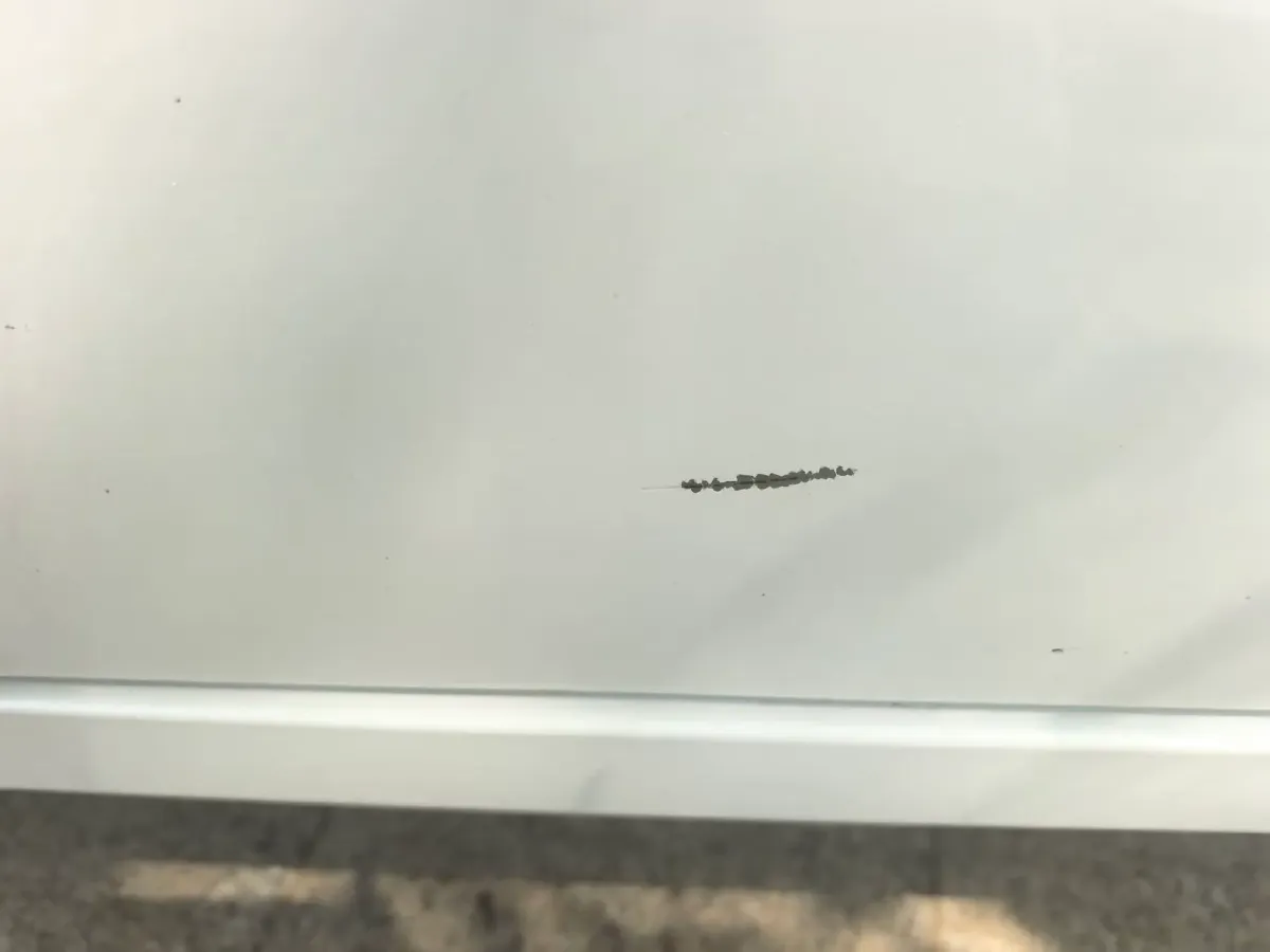 2023 BAW RuiSheng Trump M7 2.0L 144HP L4 8AT,autocango,china used car exporter,china ev exporter,chinese used car exporter,chinese used ev exporter