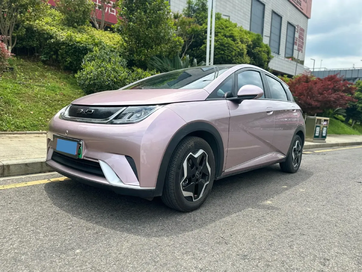 2021 BYD Yuan Pro BEV 50.1KWH,autocango,china used car exporter,china ev exporter,chinese used car exporter,chinese used ev exporter