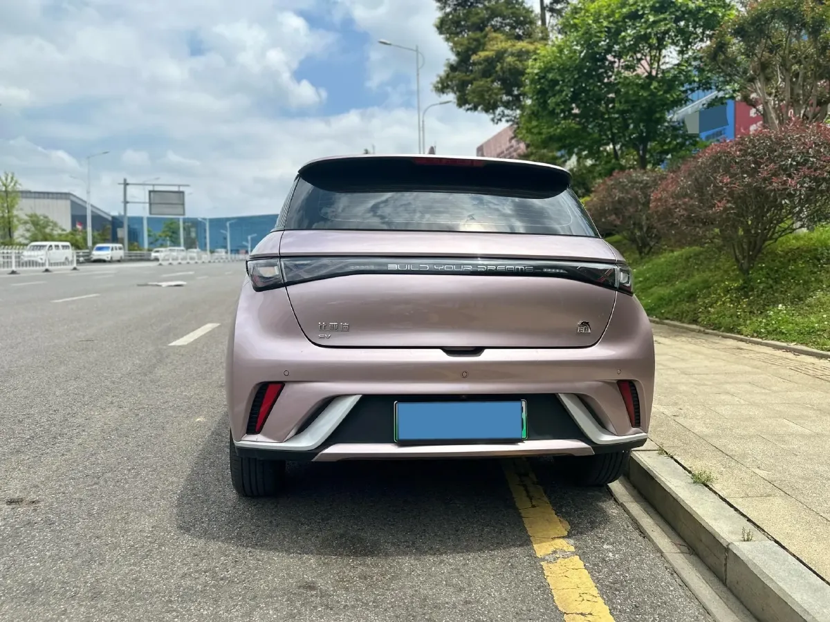 2021 BYD Yuan Pro BEV 50.1KWH,autocango,china used car exporter,china ev exporter,chinese used car exporter,chinese used ev exporter