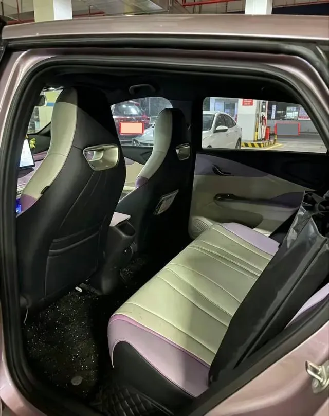 2023 BYD Dolphin BEV 44.928KWH,autocango,china used car exporter,china ev exporter,chinese used car exporter,chinese used ev exporter