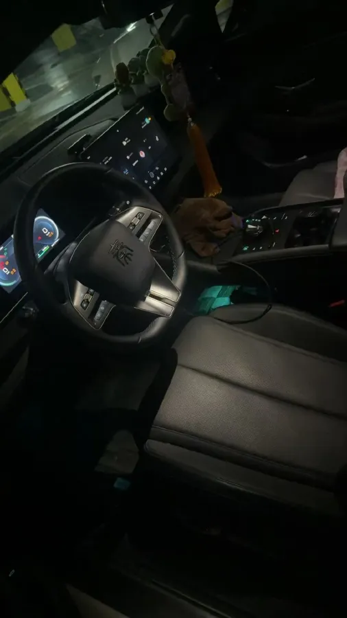 2024 BYD QinL 1.5L 101HP L4 E-CVT PHEV 10.08KWH,autocango,china used car exporter,china ev exporter,chinese used car exporter,chinese used ev exporter