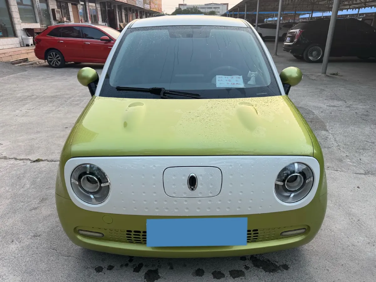 2021 Ora BlackCat BEV 28.5KWH,autocango,china used car exporter,china ev exporter,chinese used car exporter,chinese used ev exporter